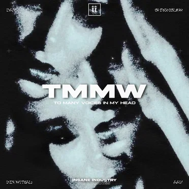 To Many Voices In My Head by Tmmw - album cover