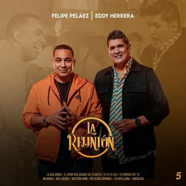 La reunión 5