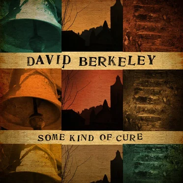 Some Kind of Cure by David Berkeley - album cover