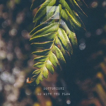 Go With the Flow by Sotvorishi - album cover