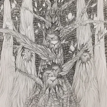 Light Owls