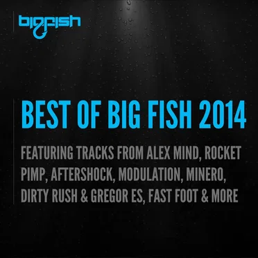 Best of Big Fish 2014 by Various Artists - album cover
