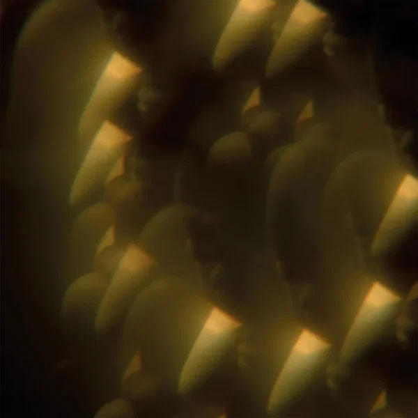 Music From 'Likely Stories'