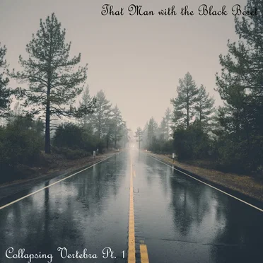 Collapsing Vertebra, Pt. 1 by That Man with the Black Beret - album cover
