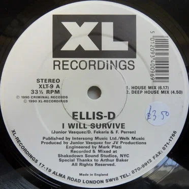 I Will Survive by Ellis‐D - album cover