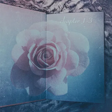 chapter ♥