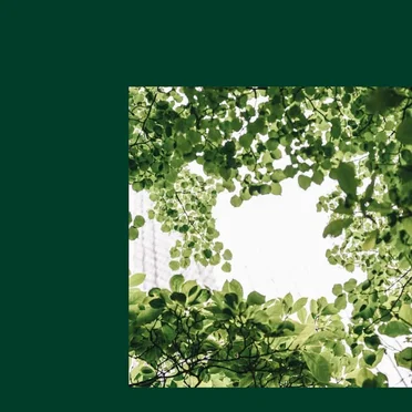 All I Can Say / Sunlight