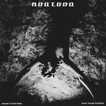 Know Your Pain, Pick Your Poison by RodtGod - album cover