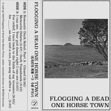 Flogging a Dead One Horse Town by Flogging a Dead One Horse Town - album cover