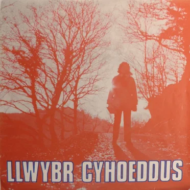 Llwybr Cyhoeddus by Llwybr Cyhoeddus - album cover