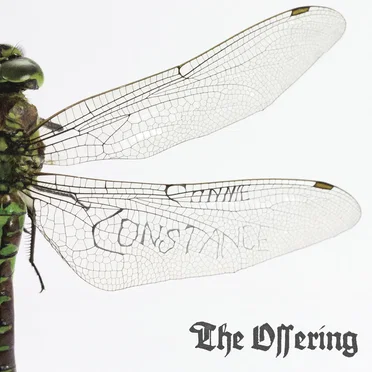 The Offering