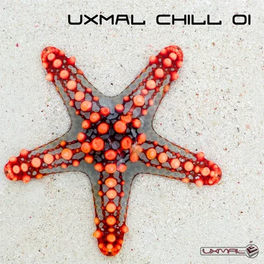 Uxmal Chill 01 by Various Artists - album cover