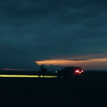 Could Have Been So Good