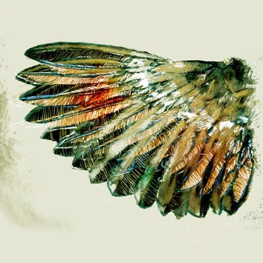 The Feathers of Oblivion I: Spring