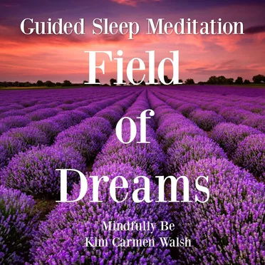 Field of Dreams (Guided Sleep Meditation) by Kim Carmen Walsh - album cover