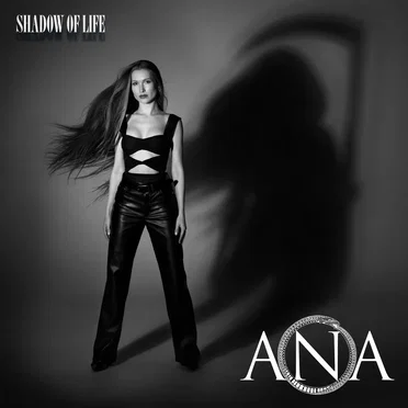 Shadow Of Life