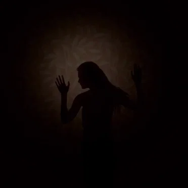 the perfect woman by Mr. Introvert - album cover