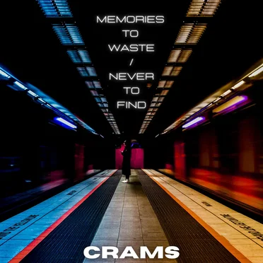 Memories to Waste/Never to Find