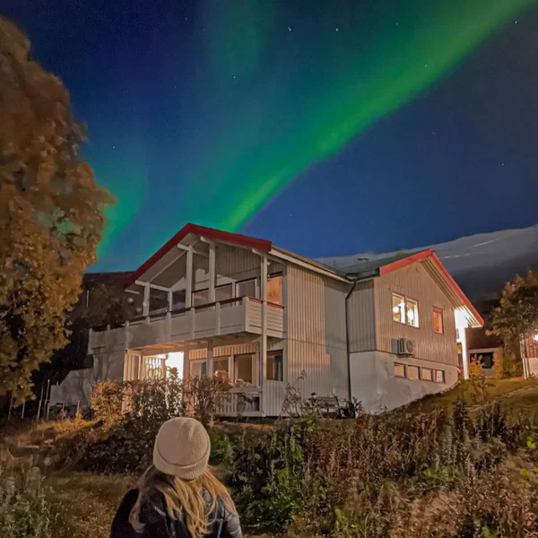 Polar Lights