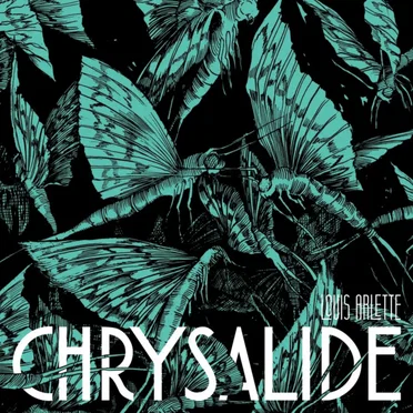 Chrysalide