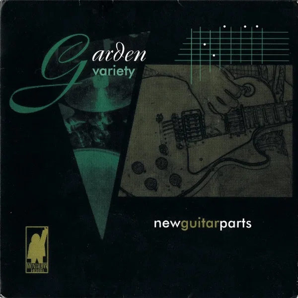 New Guitar Parts / Drive by Negly