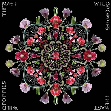 Wild Poppies by The Mast - album cover