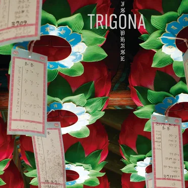 Isophase by Trigona - album cover
