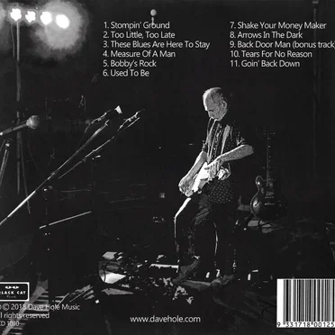 Goin' Back Down by Dave Hole - album cover
