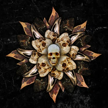 Head First Into The Fire box set