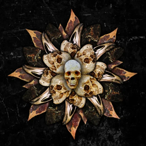 Head First Into The Fire box set