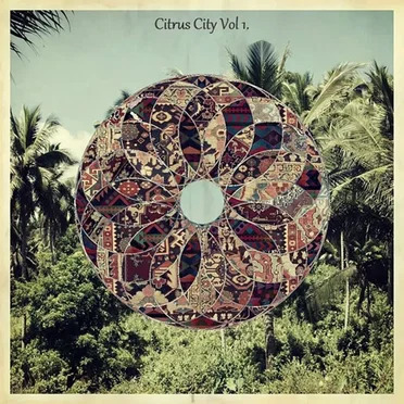 Citrus City Vol 1 by Various Artists - album cover