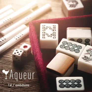 14 / ambitions by Aqueur - album cover