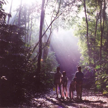 Boa Howl by Halves - album cover
