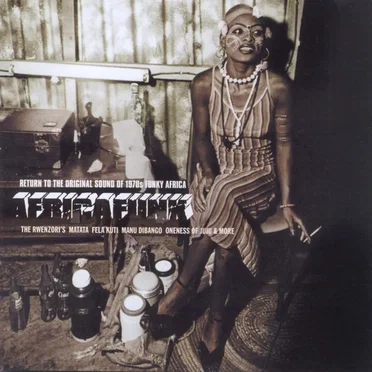 Africafunk: Return to the Original Sound of 1970s Funky Africa by Various Artists - album cover