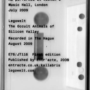 Inbetween the Sound Sound / The Occult Animals of Silicon Valley