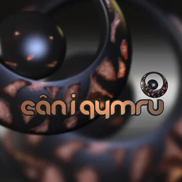 Cân i Gymru 2012 by Artistiaid Amrywiol - album cover