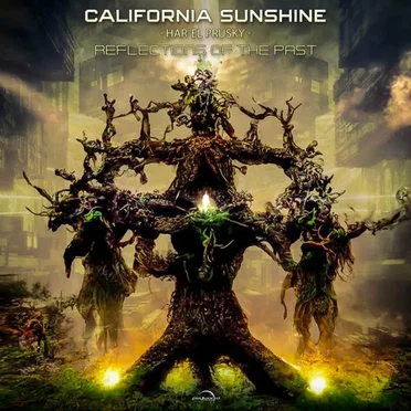 Reflections Of The Past by California Sunshine / Har-El Prusky - album cover