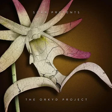 The Orkyd Project