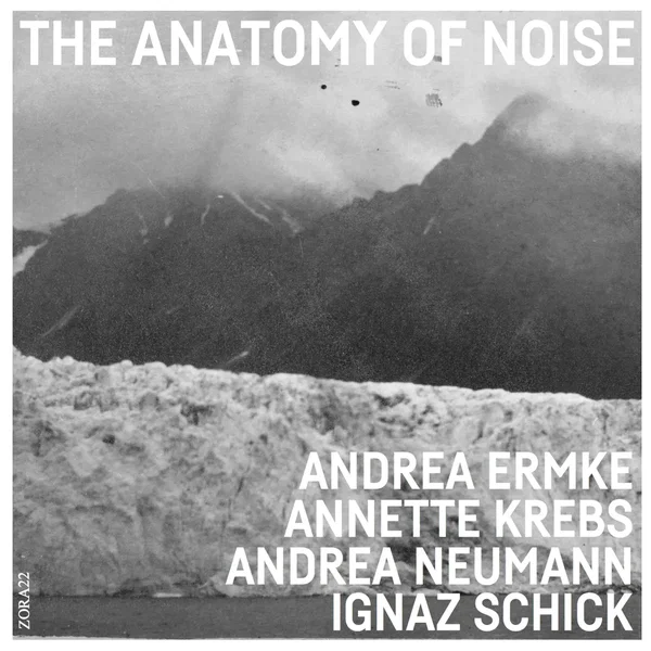 The Anatomy of Noise