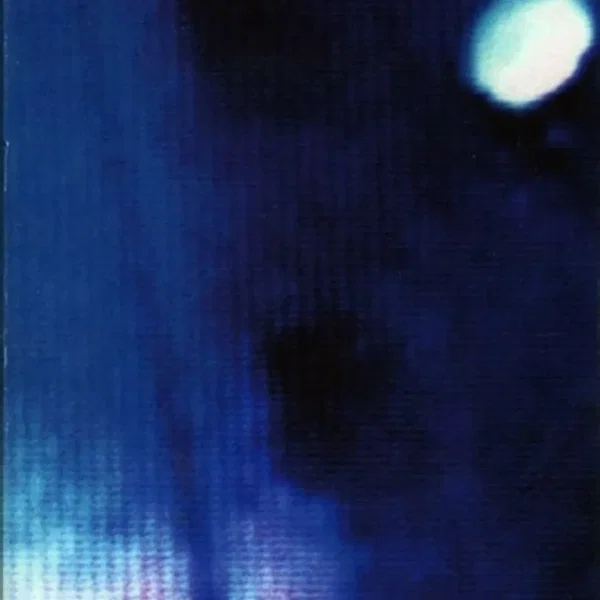 The Robert Fripp String Quintet Live in Japan