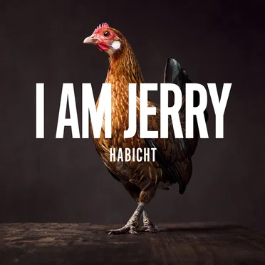 Habicht by I Am Jerry - album cover