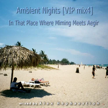 In That Place Where Miming Meets Aegir by Various Artists - album cover
