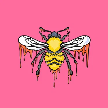 David's Bridge by the Hawkins - album cover