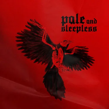 Pale and Sleepless by Bufcxter - album cover