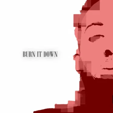 Burn It Down by Elvis McFly - album cover
