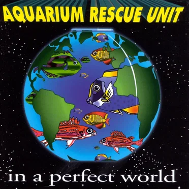In a Perfect World