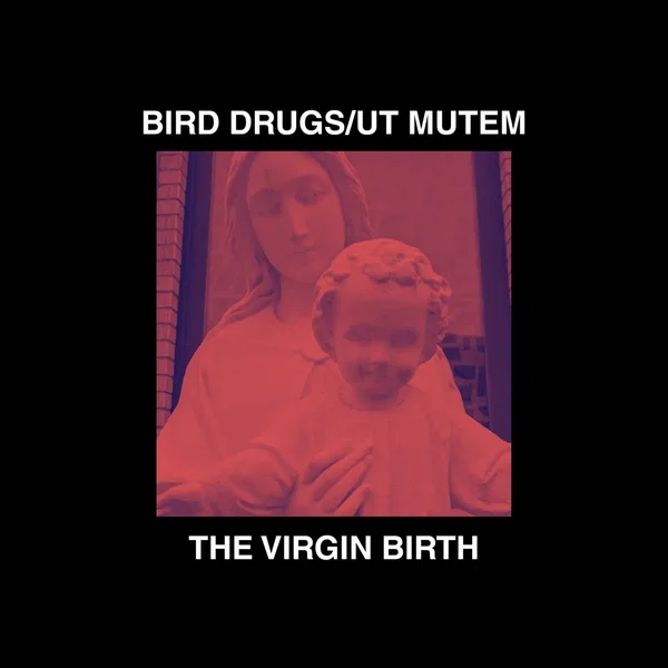 The Virgin Birth
