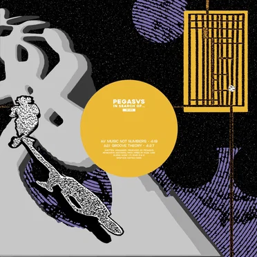 Music Not Numbers by Pegasvs - album cover
