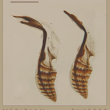 Tuyeres by Meridian - album cover