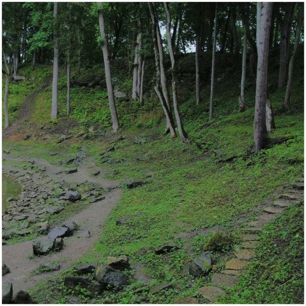 Incline Towards
